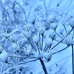 Alpenfels - Zwieselstein * Зёльден