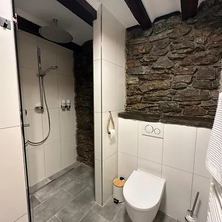 Apartment Alpenfels Zwieselstein *