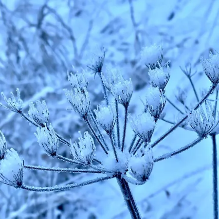 Alpenfels - Zwieselstein * 索尔登