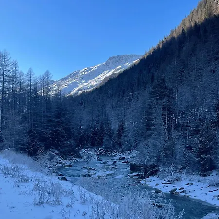 Alpenfels - Zwieselstein 公寓 *