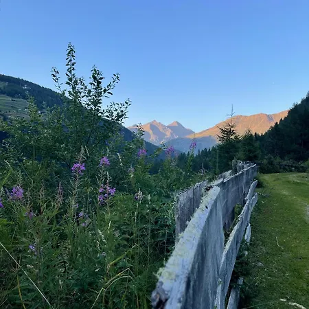 公寓 Alpenfels - Zwieselstein *