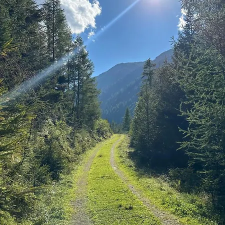 Alpenfels Zwieselstein