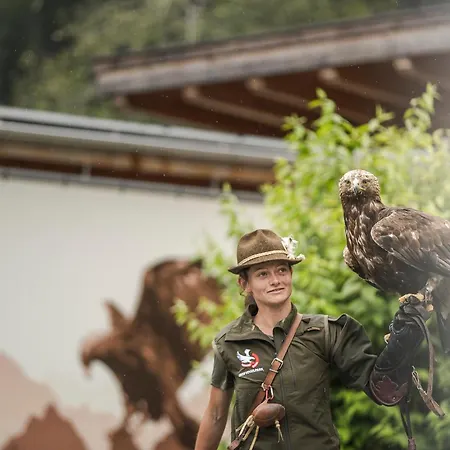 Appartamento Alpenfels - Zwieselstein